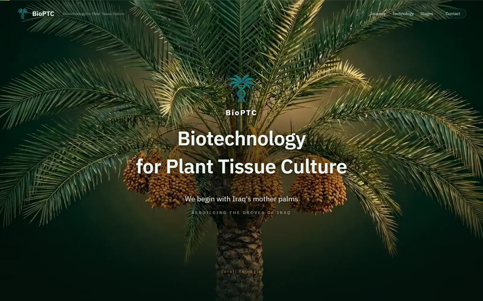 The BioPTC website: a date palm under the headline Biotechnology for Plant Tissue Culture